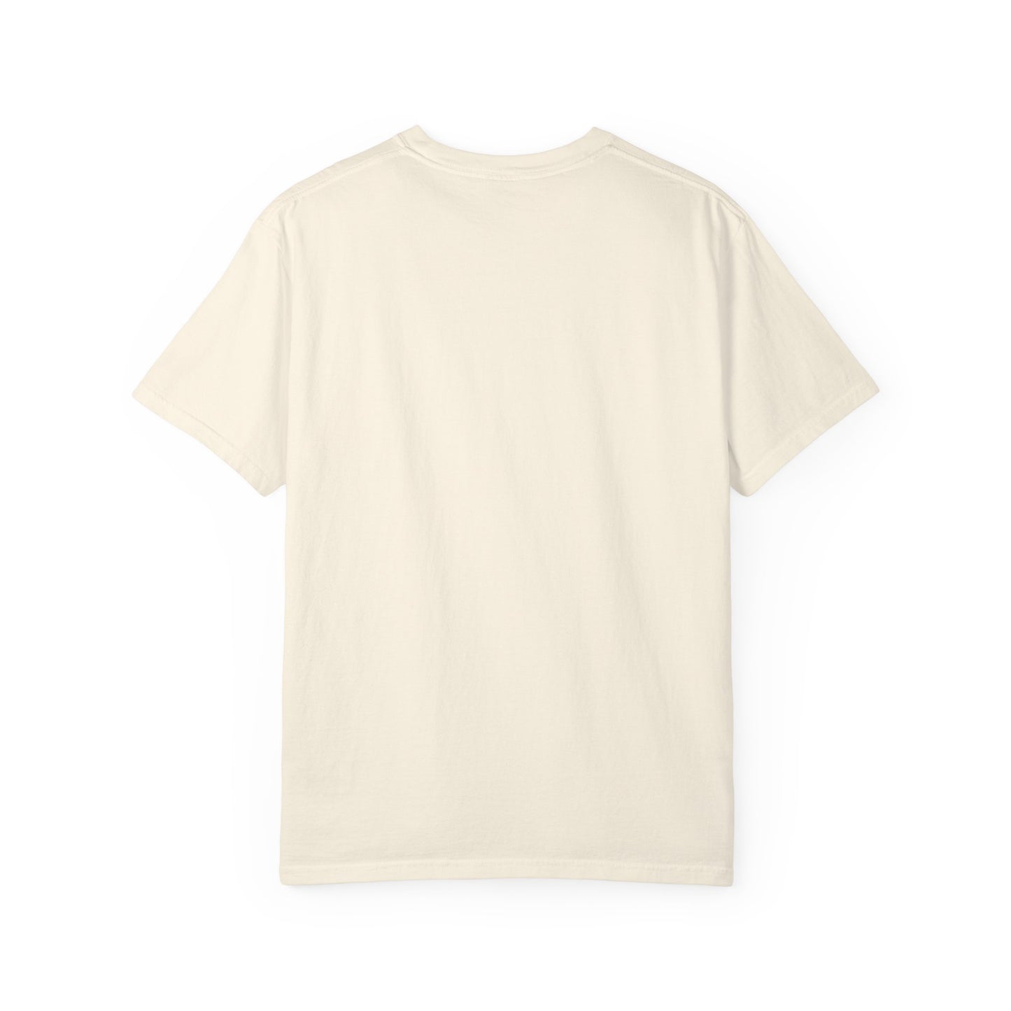 Virtuosoh Crack the Frame Own the Flame unisex T-shirt