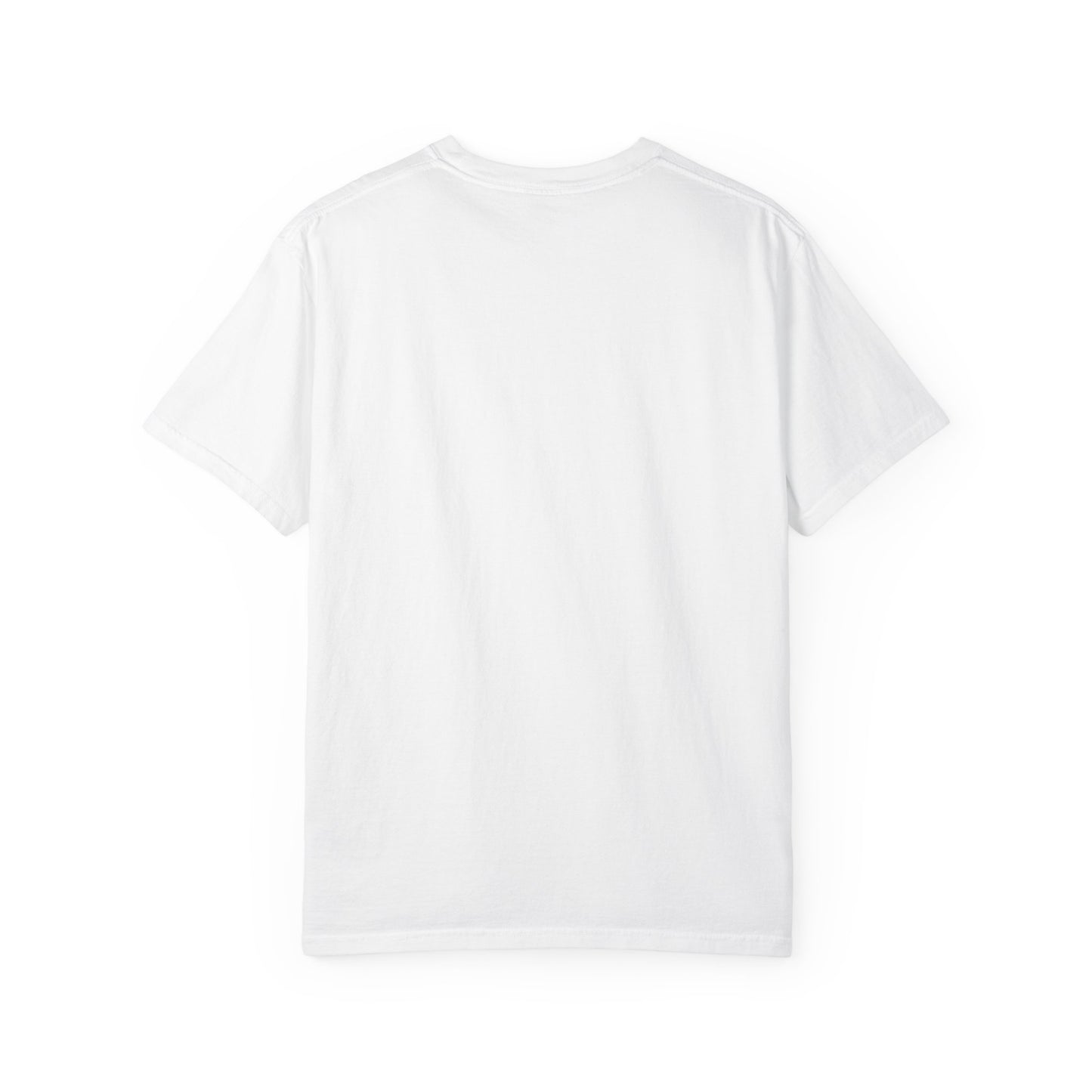 Virtuosoh Crack the Frame Own the Flame unisex T-shirt